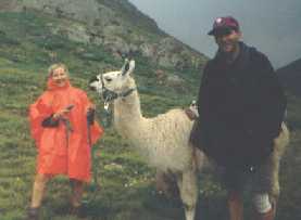 Can I have one of these???