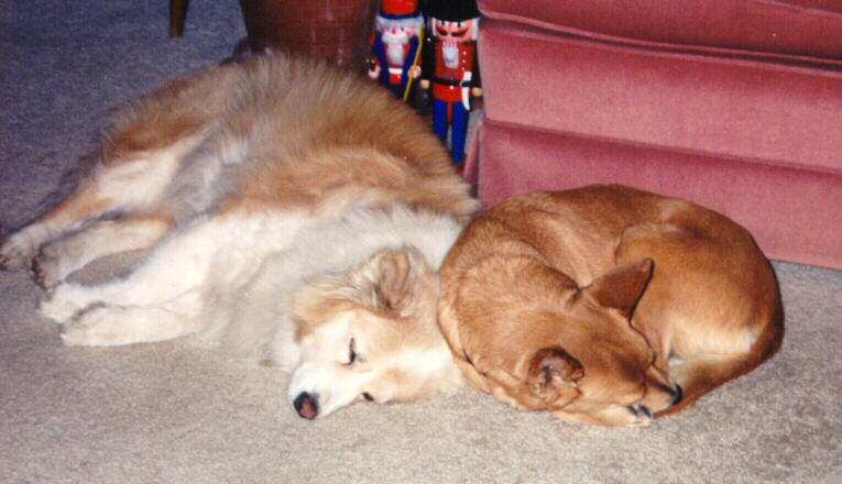 Honey & Aspen 390k