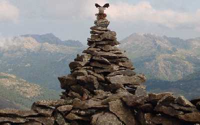 Moose on cairn near Indy Pass