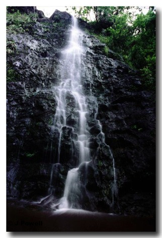 kaau008