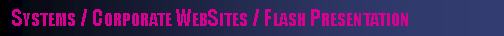 Text Box:   Systems / Corporate WebSites / Flash Presentation