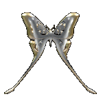 Supporter of Abuse Awareness. Taking Back Our Life's and Flying Free �