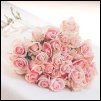 rose.jpg (3763 bytes)
