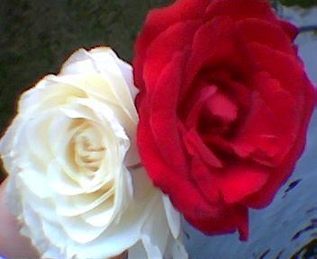 from my gradua+ion par+y