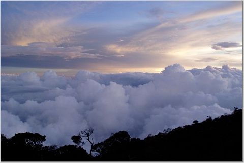 laban rata