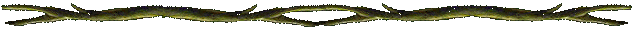 Border