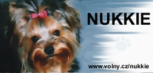NUKKIE