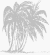 palmtrees.gif (23605 bytes)