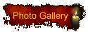 Photo Gallery