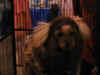 monkey2.JPG (36053 bytes)