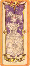 The Flower.jpg (157073 bytes)