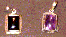 SJSP-13.gif (11455 bytes)