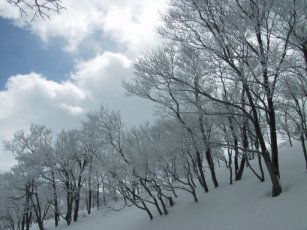 scenary1