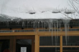 scenary11