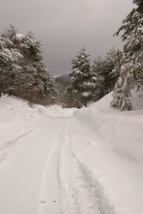 scenary13