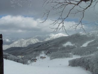 scenary2