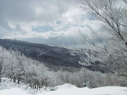 scenary6