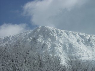 scenary7