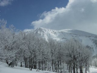 scenary8