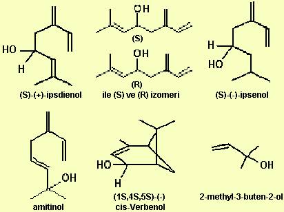 Molecule formula of pheromones