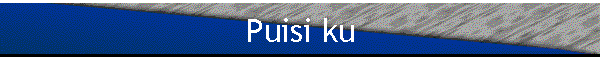 Puisi ku
