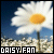 Daisy Fan