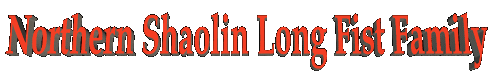 Northen Shaolin Long Fist