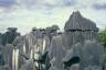 Shilin/Stone Forest