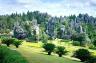 Shilin/Stone Forest