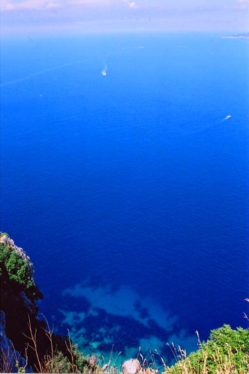 mediblue