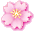 sakura_006.gif (1733 bytes)