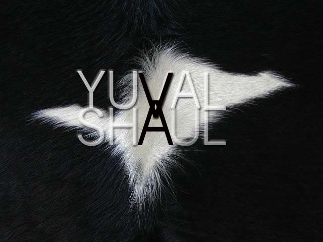 Yuval Shaul