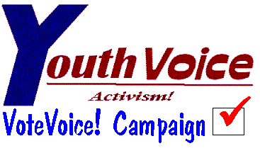 VoteVoice! Campaign