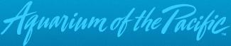 Link to Aquarium of the Pacific website