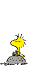 ani_logo_woody.gif (6315 bytes)