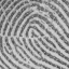 FBI Fingerprint