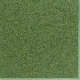 back ground