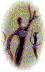 Bunyip