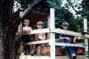 The tree fort