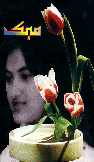 Urdu Novel MEHEK