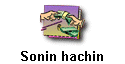 Sonin hachin