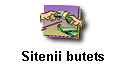 Sitenii butets