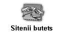Sitenii butets