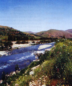 yabbok -     