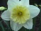 default011004.jpg