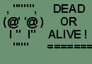 Dead or Alive!