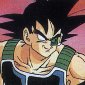 Bardock.jpg