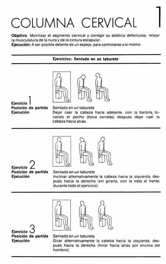 Cervicales1
