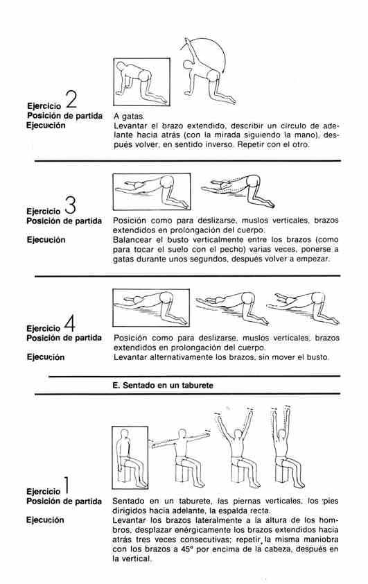 Dorsal4