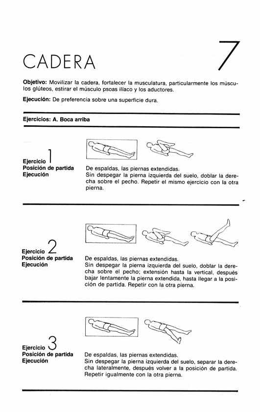 Cadera1